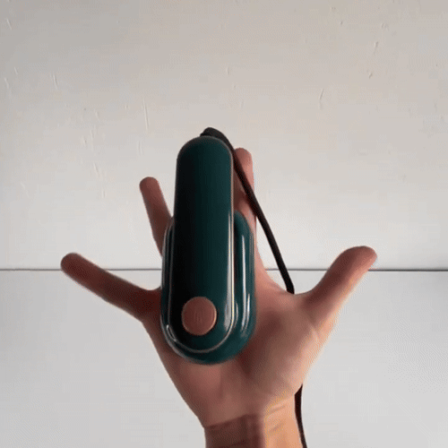 Portable Mini Garment Steamer for Home and Travel